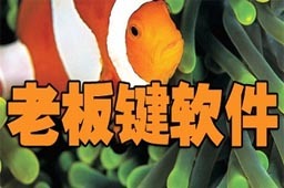 老板键