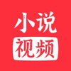 小说视频