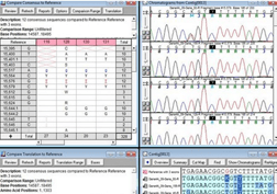 gene codes sequencher