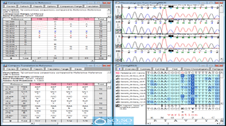 gene codes sequencher