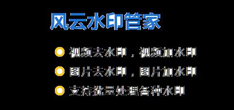 风云水印管家