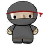 System Ninja