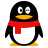 qq2019