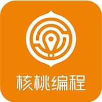 核桃编程官方版