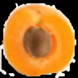 Apricot DB