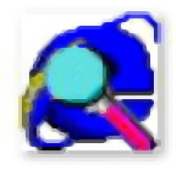 IECacheView