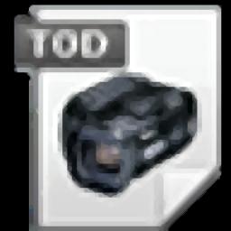 4Easysoft TOD Converter