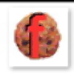 FlashCookiesView