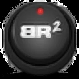 BREVERB 2