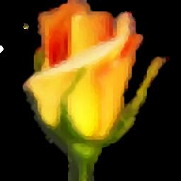 Rosegarden