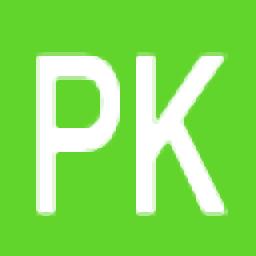PK990图标提取