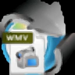 4Easysoft DVD to WMV Converter