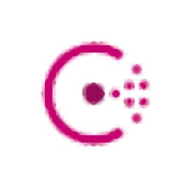 Consul