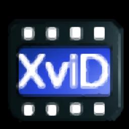 4Easysoft XviD Converter
