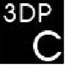3DP Chip Lite