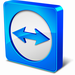 teamviewer9