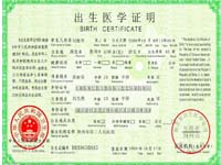 腾龙在线出生医学证明系统