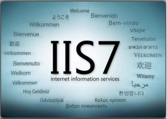 win7 iis