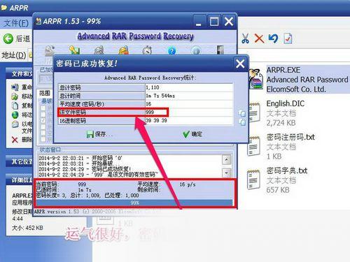 arpr软件