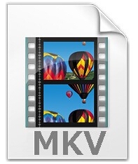 MKV播放器