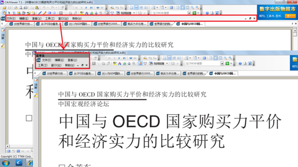 caj全文浏览器