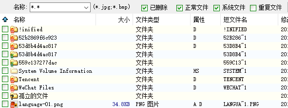 DiskGenius 专业版
