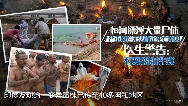 CBox央视影音