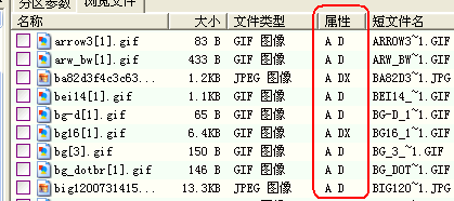 DiskGenius 专业版