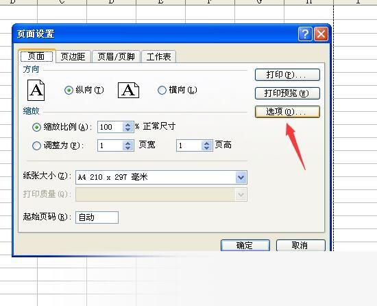 Microsoft Office 2003