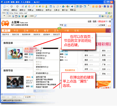 维棠FLV视频下载工具