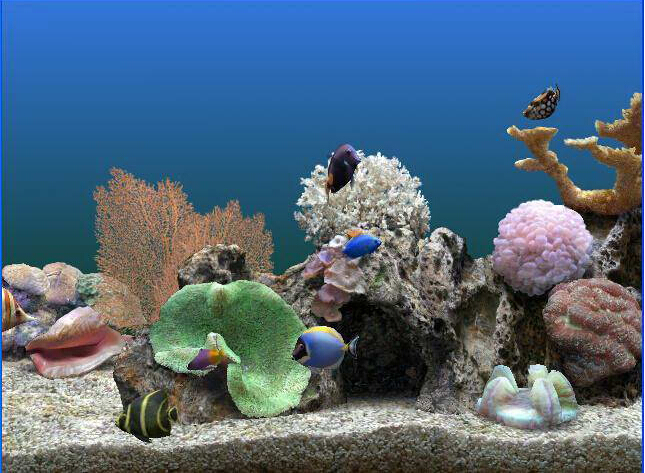 热带鱼水族箱屏幕保护程序 title=