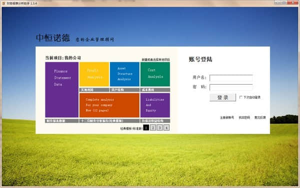 中恒诺德财务报表分析助手