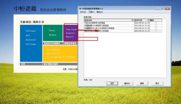 中恒诺德财务报表分析助手