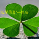 三叶草考试模拟系统
