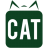 CAT Video Repair