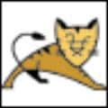 Apache Tomcat 9