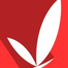 精灵五笔输入法