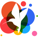 小鸟壁纸破解版