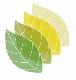 Lands Design for Rhino