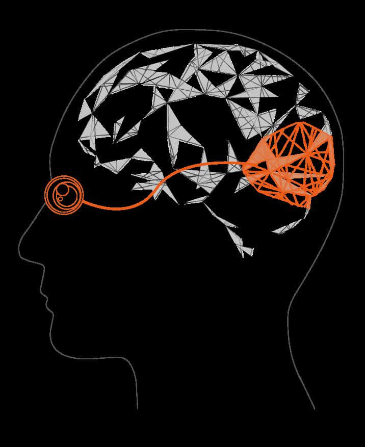 双眼视功能训练系统