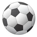 SoftPerfect Network Scanner