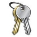 Fort Professional Edition