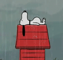 webp2jpg图片格式转换