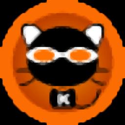 kk录像机官方版