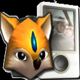 Bluefox Zune Video Converter官方版