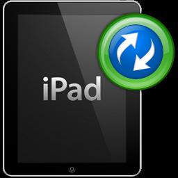 iPad Mate Platinum