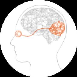 双眼视功能训练系统官方版