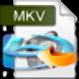 4Easysoft Blu-ray to MKV Ripper官方版