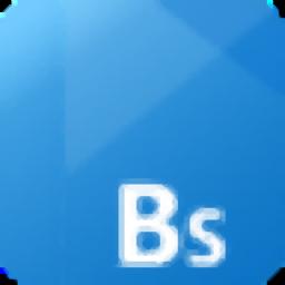 百思收派系统官方版