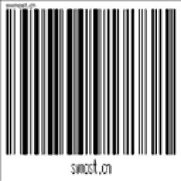 东软条形码批量生成器绿色破解版